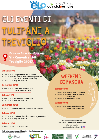 Tulipani a Treviglio
